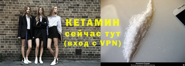 гидра Арсеньев