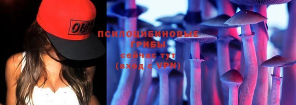 гидра Арсеньев