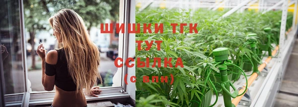 гидра Арсеньев