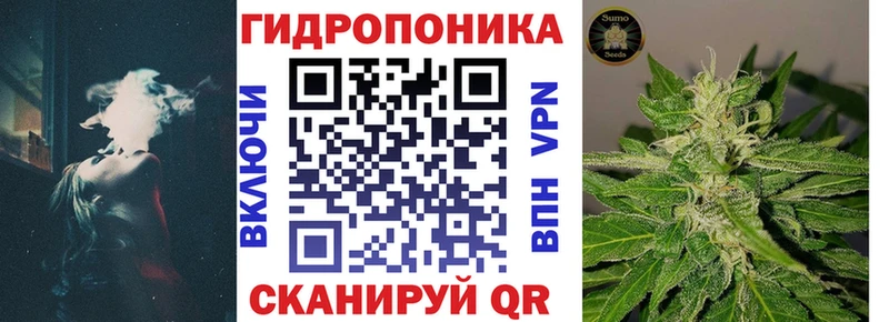 Канабис сатива  Рославль 